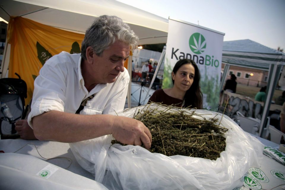 Φεστιβάλ Κάνναβης