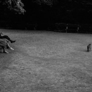 Πώς Έμοιαζε η Αθήνα της Δεκαετίας του ’80 Μέσα από τα Πρόσωπα των Γυναικών;