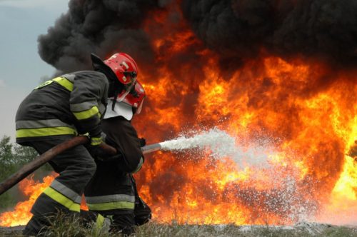 WWF: Ανησυχία για την ικανότητα της χώρας να αντιμετωπίσει τις πυρκαγίες