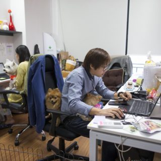 Σκυλίσια ζωή και στη δουλειά