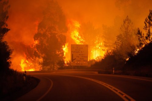 Πορτογαλία: 57 οι νεκροί από τη δασική πυρκαγιά στη Λεϊρία