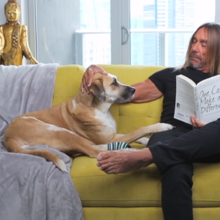 Iggy Pop και Nick Cave ενώνουν τις δυνάμεις τους για την PETA (ΒΙΝΤΕΟ)
