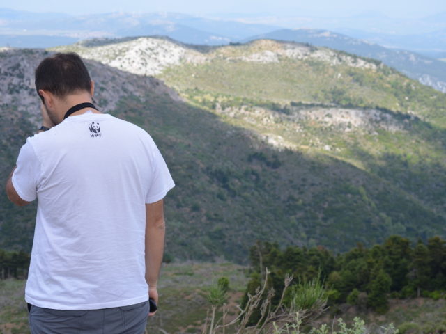 Πάρνηθα: 10 χρόνια μετά την καταστροφή, τη νιώθουμε ν’ αναπνέει ξανά