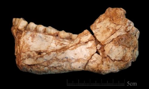 Στο Μαρόκο βρέθηκαν τα αρχαιότερα ανθρώπινα απολιθώματα