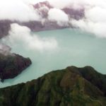 Το φυτό που αναπτύσσεται στους 72 βαθμούς μέσα σε ηφαίστειο «το προτιμά καυτό»