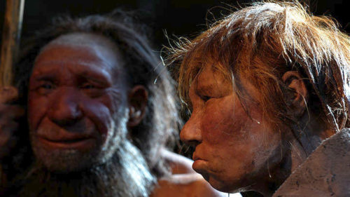 Πριν 130.000 χρόνια οι Νεάντερταλ έκαναν τους οδοντιάτρους