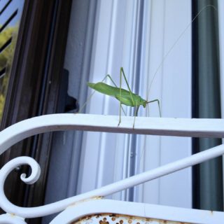 Κινέτα: Εικόνες μιας άλλης εποχής