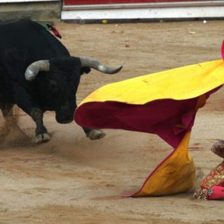Επαρχία της Ισπανίας κάνει βήματα για την απαγόρευση της ταυρομαχίας τη στιγμή που…