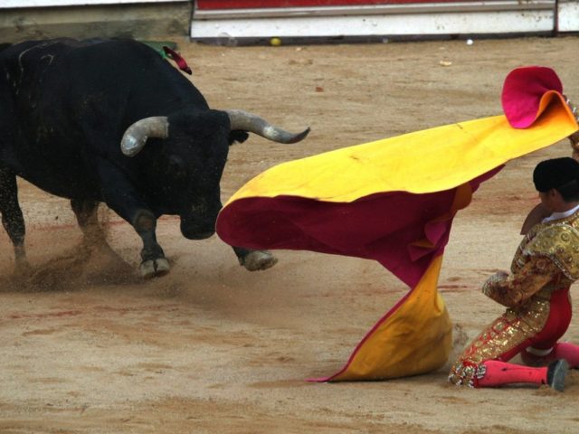 Επαρχία της Ισπανίας κάνει βήματα για την απαγόρευση της ταυρομαχίας τη στιγμή που…