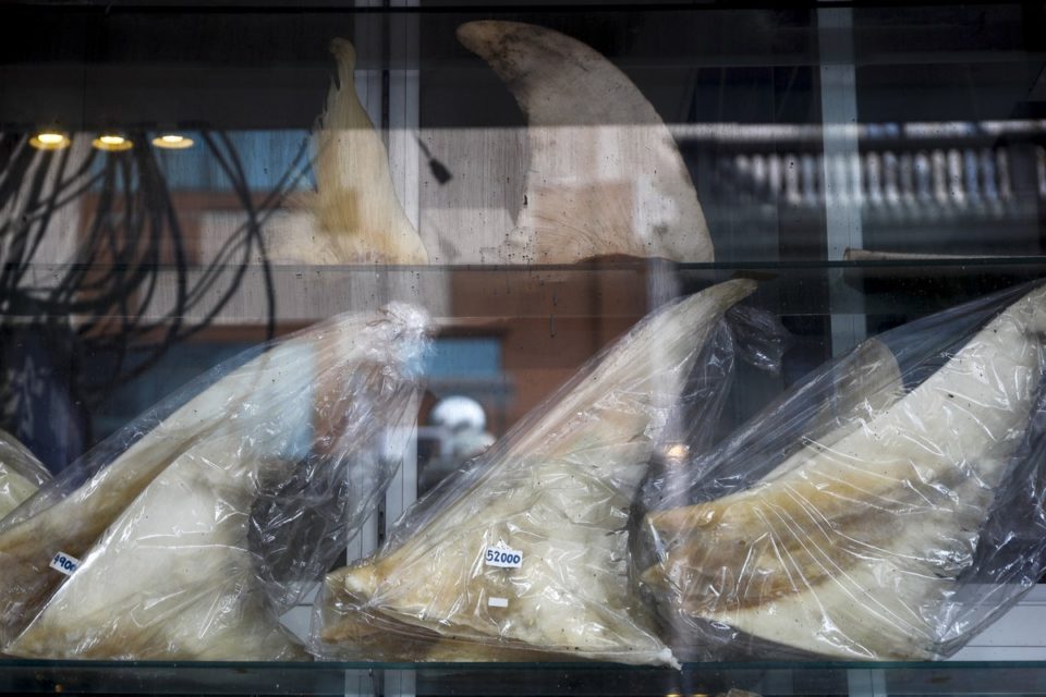 σούπα καρχαρία