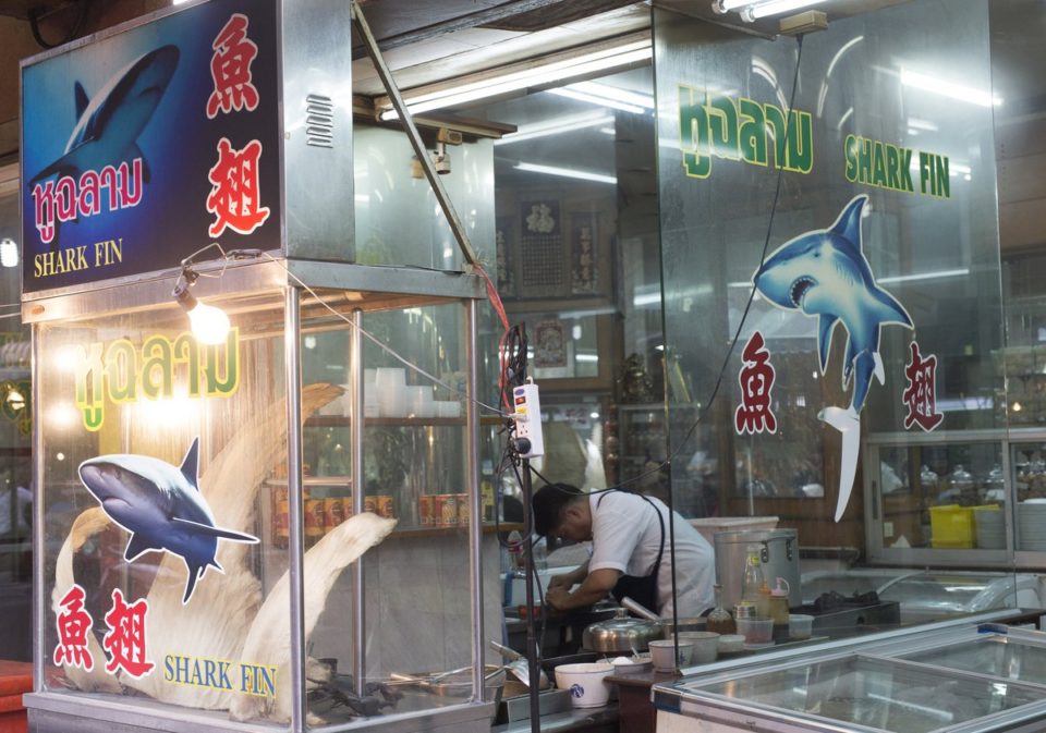 σούπα καρχαρία