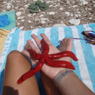 Το καλοκαίρι της Ρουμπίνης Σταγκουράκη