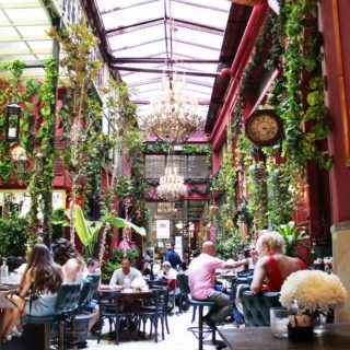 Το Noel μετατρέπει τη Στοά Κουρτάκη σε βοτανικό κήπο