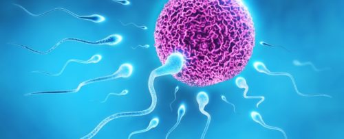 Η χαμηλή παραγωγή σπέρματος από τους άνδρες μπορεί να οδηγήσει στον αφανισμό μας