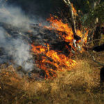 Πυρκαγιά στο Κρυονέρι Αττικής