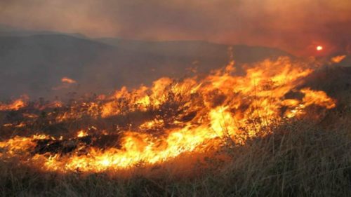 Μυτιλήνη: Ολονύχτια μάχη με τις φλόγες σε Πλωμάρι, Τρυγώνα και Πλαγιά