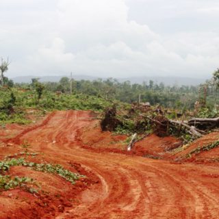 Νέα Γουινέα: Καταπατήσεις στα δικαιώματα των ιδιοκτητών γης από επιχειρήσεις ξυλείας