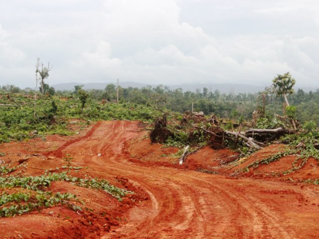 Νέα Γουινέα: Καταπατήσεις στα δικαιώματα των ιδιοκτητών γης από επιχειρήσεις ξυλείας