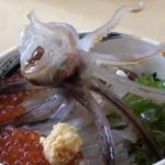 Θα τρώγατε αυτό το πιάτο; (βίντεο)