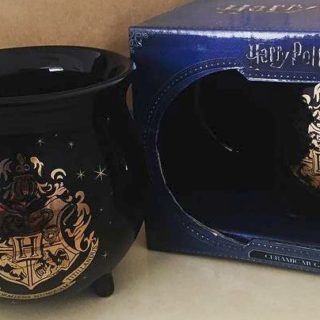 Ο Harry Potter στο σπίτι σας