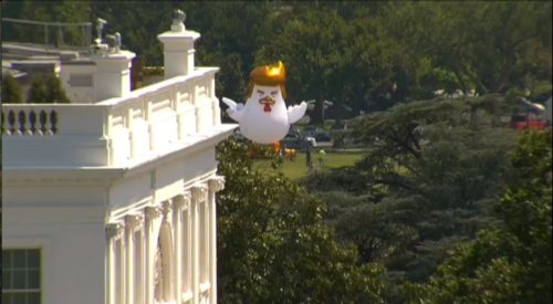 Ένα γιγαντιαίο κοτόπουλο-Τραμπ πετάει πάνω από τον Λευκό οίκο