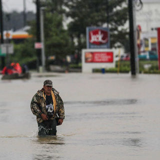 ΗΠΑ: Κίνδυνος να εμφανιστούν αλιγάτορες στο Χιούστον
