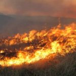 Πυρκαγιά σε εξέλιξη αυτήν την ώρα στο Κορωπί