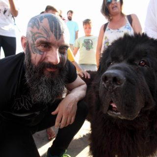 Και Όμως, Υπάρχουν Άγγελοι! Αλλά Ευτυχώς Είναι Για Να Φροντίζουν Τα Ζώα [BINTEO]