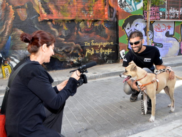 Τα σκυλιά της Αθήνας ως φορείς ελπίδας για ένα πιο ανθρώπινο αύριο