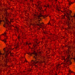 Έρχεται το Artificial Human Vanitas