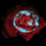 Δείτε τις εντυπωσιακές φωτογραφίες του δορυφόρου Cassini από τον Κρόνο