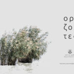 «Ορίζοντες» στα Ιωάννινα