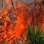 «Η φωτιά πλησιάζει σπίτια» στα Κανάλια Kέρκυρας