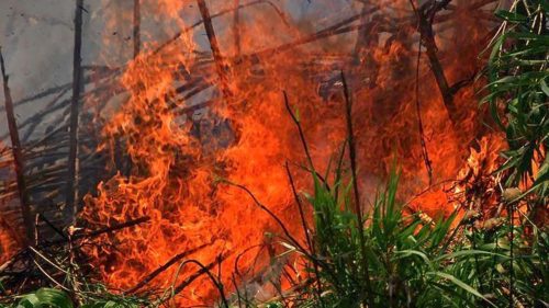 «Η φωτιά πλησιάζει σπίτια» στα Κανάλια Kέρκυρας