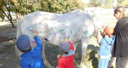 Μηνύσεις για το περιστατικό ζωγραφικής πάνω σε άλογο