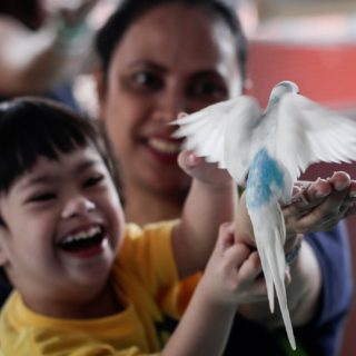 Αναπτύχθηκε νέο, καλύτερο προγεννητικό τεστ DNA για το σύνδρομο Ντάουν και άλλες χρωμοσωμικές διαταραχές