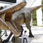 Τα θηλαστικά βγήκαν στο φως της μέρας μετά την εξαφάνιση των δεινοσαύρων