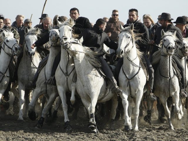 Σε μια περιοχή στην Γαλλία, οι ταύροι δεν μένουν στην αρένα…