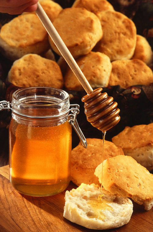 Την 1η Δεκεμβρίου ξεκινά το 9ο Φεστιβάλ Ελληνικού Μελιού και Προϊόντων Μέλισσας