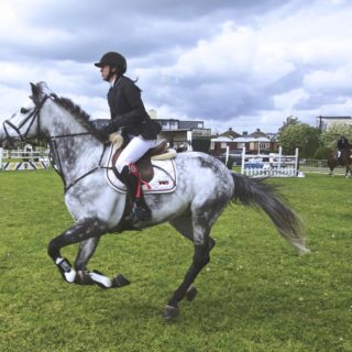 Μπορούν οι κατσίκες να είναι κυνικές και τα ψάρια να έχουν προσωπικότητα;