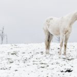 Ρωσία: Ακραίο το ψύχος στη Σιβηρία