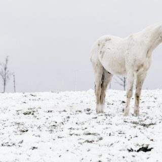 Χιονισμένη Γερμανία