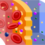 Κύκλος σεμιναρίων στο ζήτημα της αιμοκάθαρσης