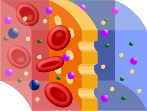 Κύκλος σεμιναρίων στο ζήτημα της αιμοκάθαρσης