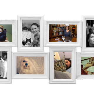 Τι μάθατε ζώντας με τον Όλιβερ, την Κούκι, τον Σνούπι και την Ιρίνα;