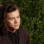 Θα παίξει ο Χάρι Στάιλς στο επόμενο “Star Wars”;