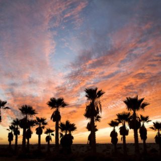 Ηλιοβασίλεμα στην έρημο Negev