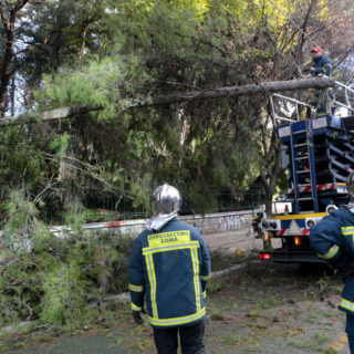 Λάρισα: Ισχυροί άνεμοι προκάλεσαν πτώσεις δένδρων στη πόλη