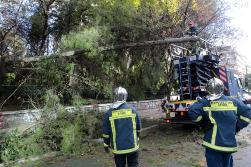 Λάρισα: Ισχυροί άνεμοι προκάλεσαν πτώσεις δένδρων στη πόλη