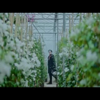 Το νέο video clip του Leon Of Athens είναι μία “Utopia” από φυτά (ΒΙΝΤΕΟ)